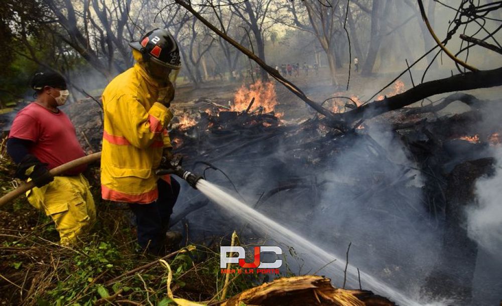En agosto empieza “temporada alta” de incendios forestales