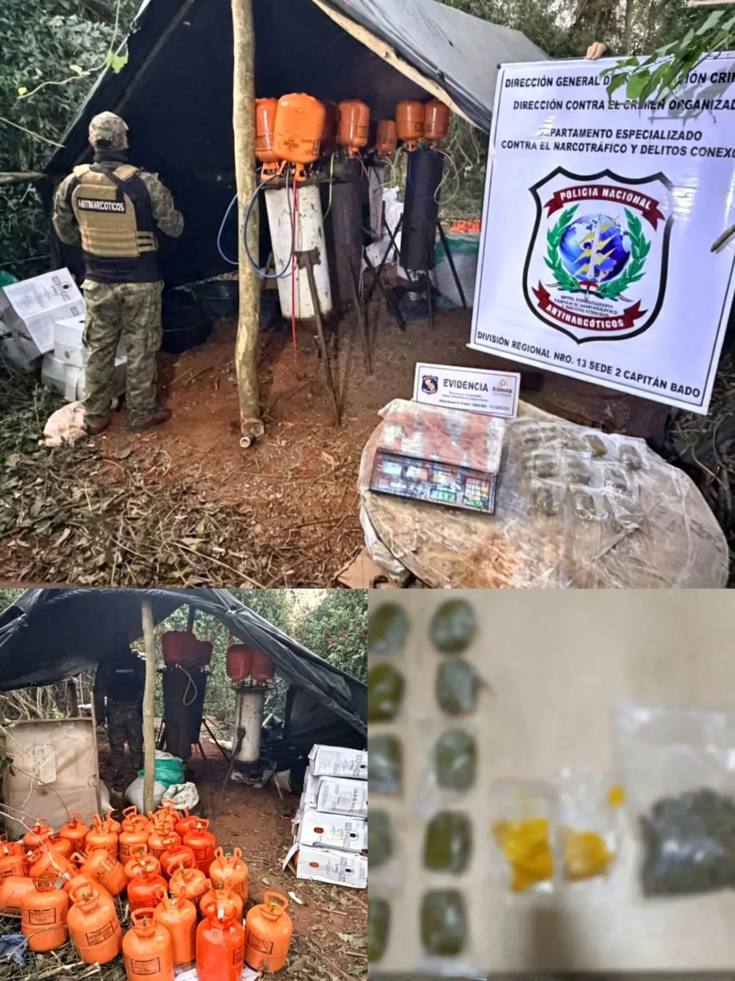 Incautan más de 272 kilos de marihuana y destruyen laboratorio ilegal en Karapaí