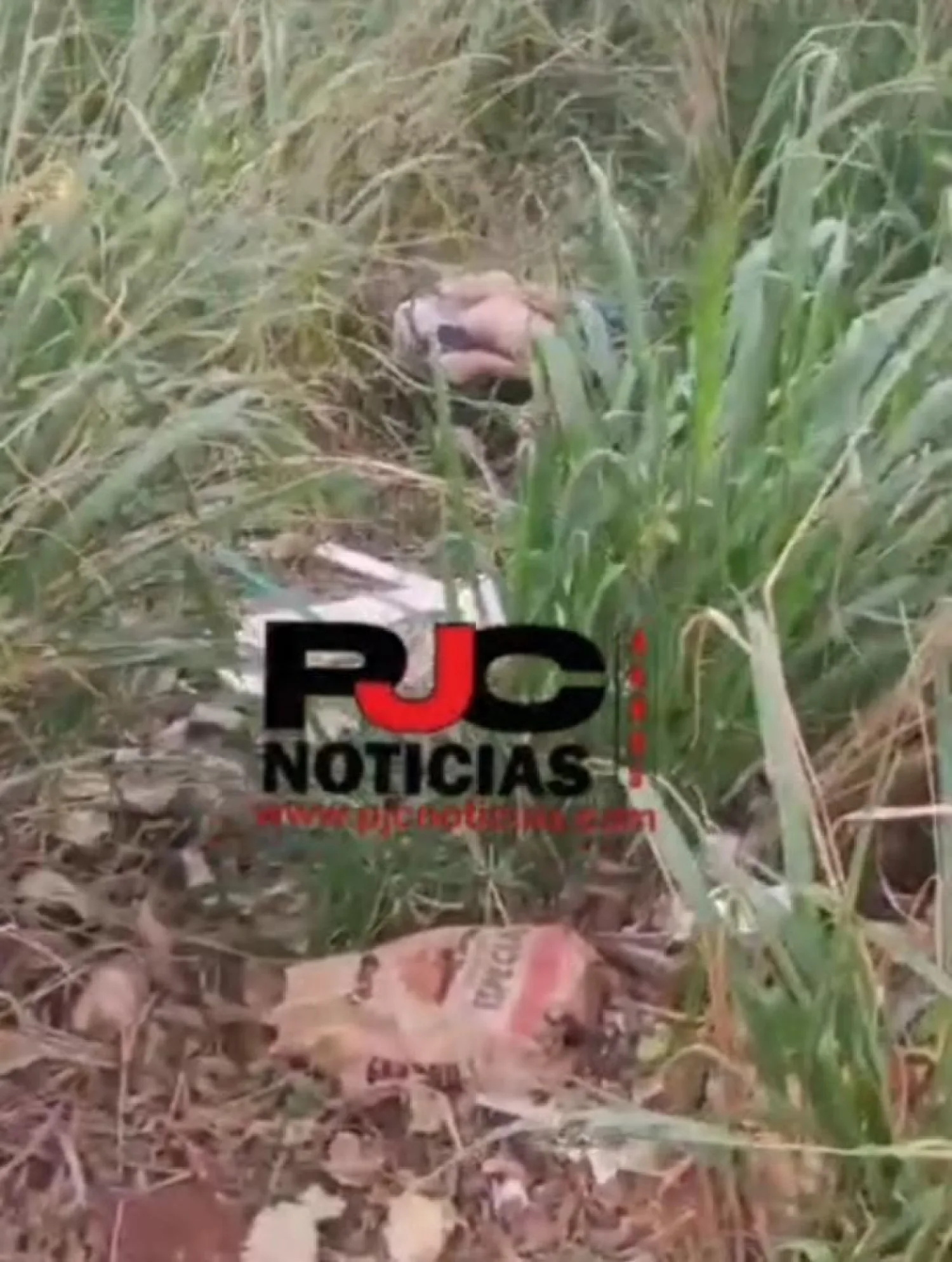 Dos hombres fueron vistos en acto sexual dentro de un yuyal en barrio San Juan Neuman