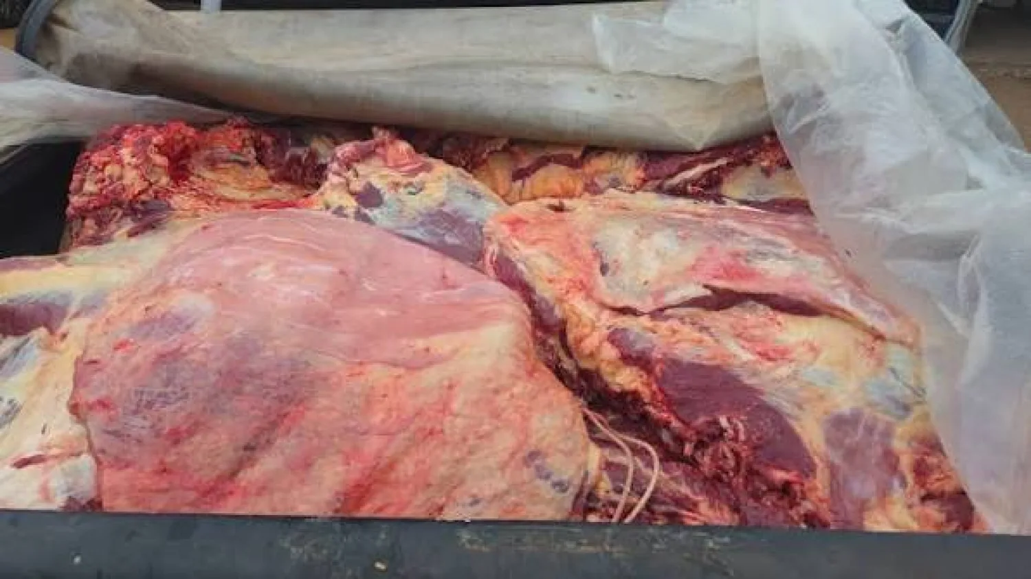 Detienen a joven por supuesto abigeato en la zona de Colonia Aguará