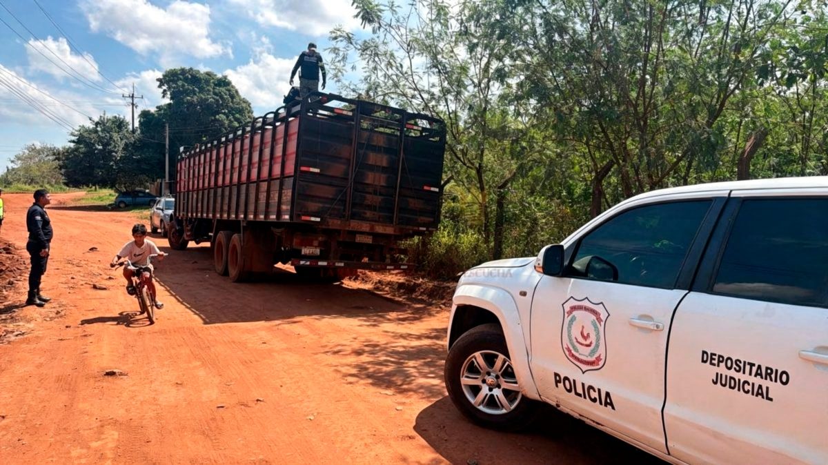 Detectan irregularidades y retienen camión que transportaba 20 vacunos