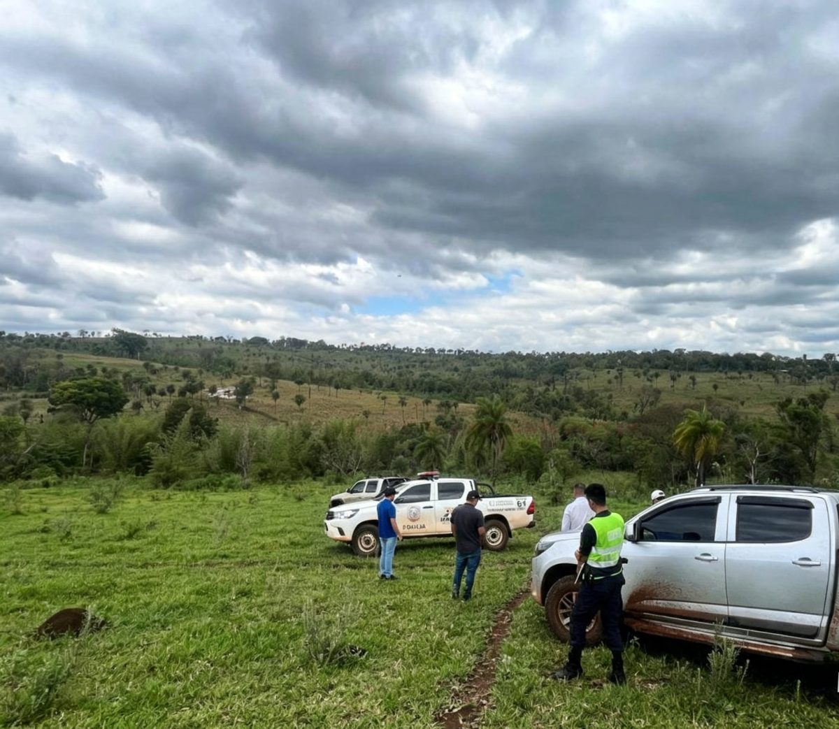 Desconocidos ingresan a establecimiento y faenan tres animales vacunos