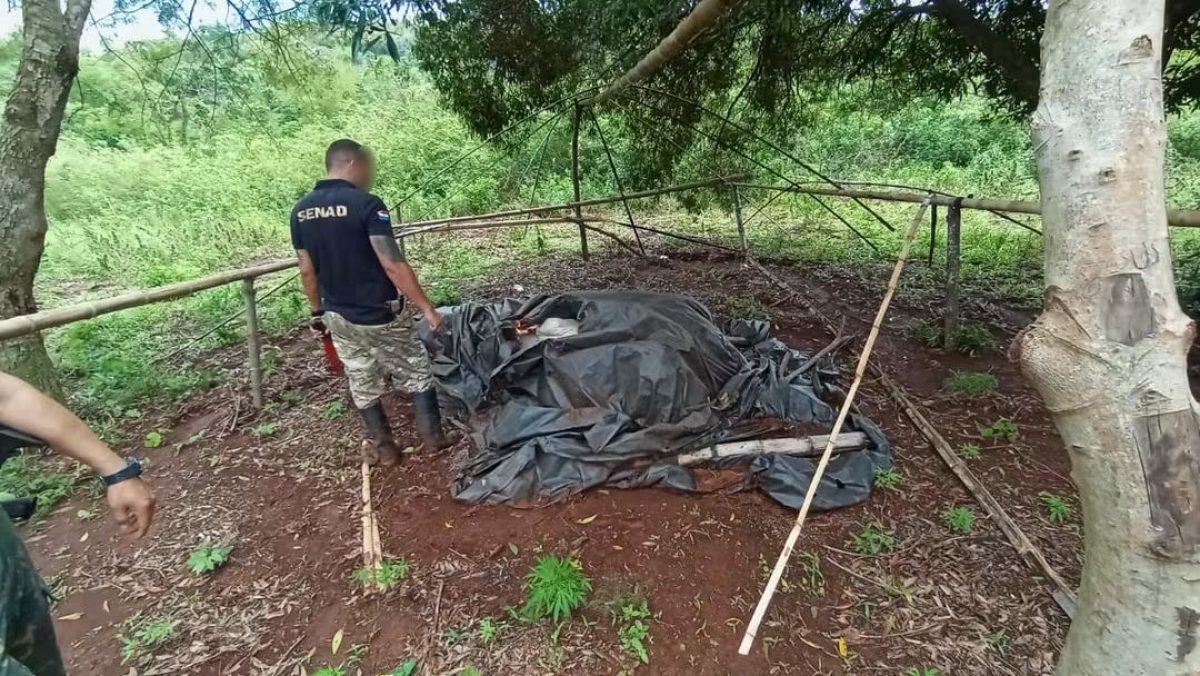 Operativo en Menta golpea la logística del narcotráfico en Capitán Bado
