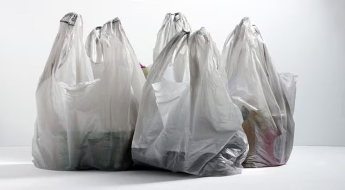 Proponen que comercios regalen bolsas si tienen sus logos
