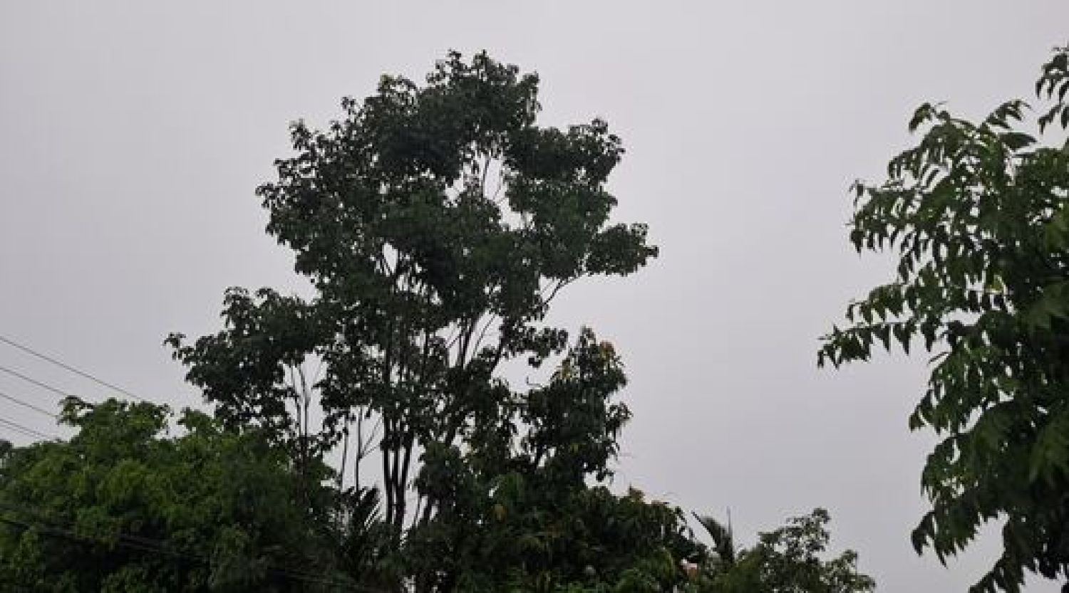 Lluvias y tormentas marcarán el inicio de la semana en Pedro Juan Caballero
