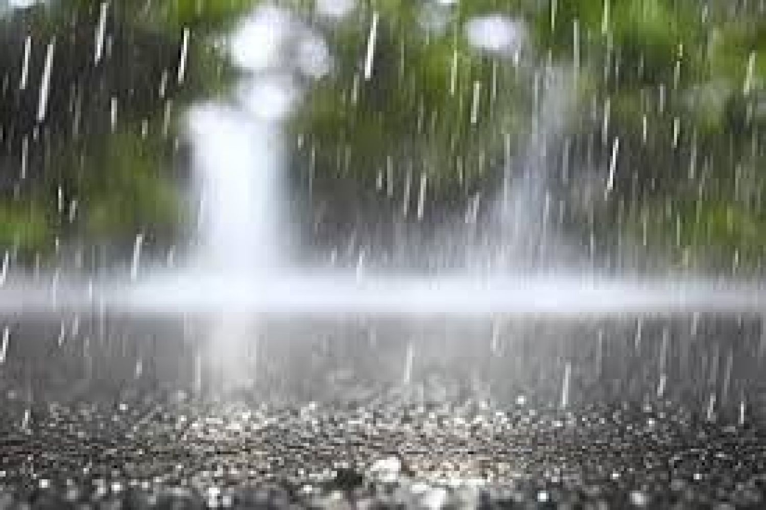 El clima seguirá cálido y con lluvias en los próximos días